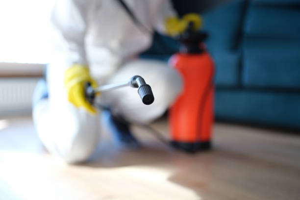 Best Crawl Space Mold Remediation  in Smyrna, GA